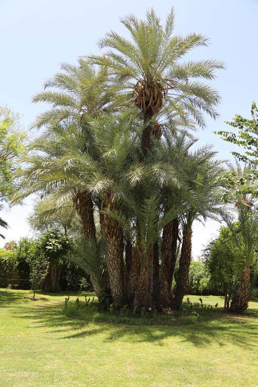 Casa Gyla Marrakesh