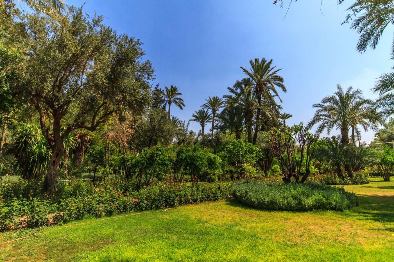 Casa Gyla 3*